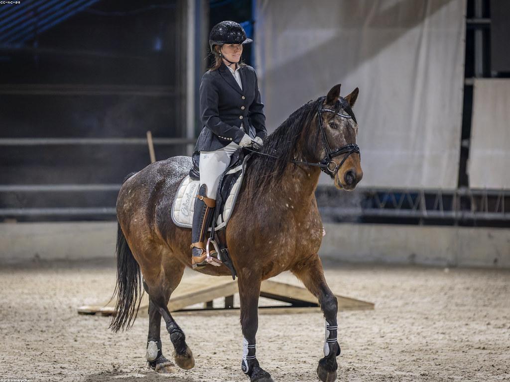 គ cultuur ប្រៀបធៀបរវាងគ្រប់អំពើប្រណាំងនិងសង្គម