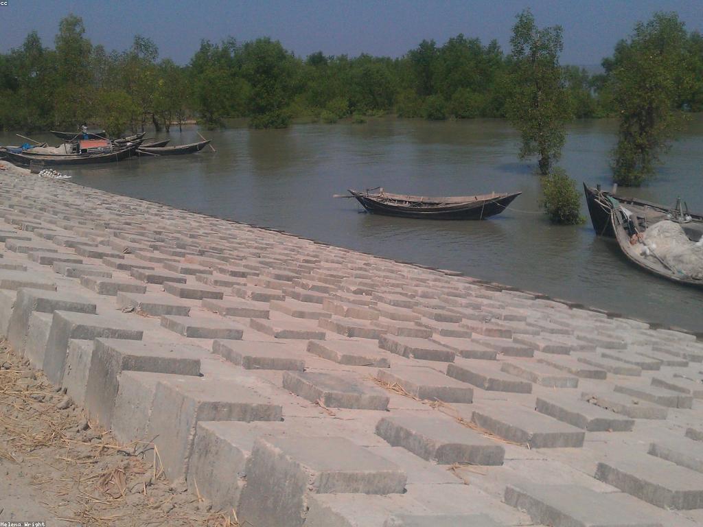 វិធីឈ្នះក្នុងការអភិវឌ្ឍភាពរឹងមាំ